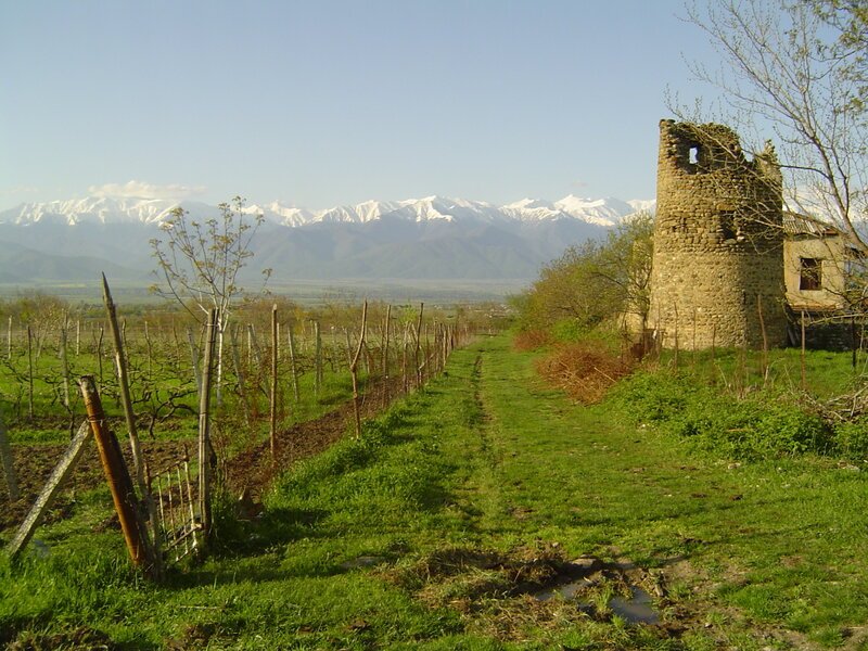 Bild: Bergblick