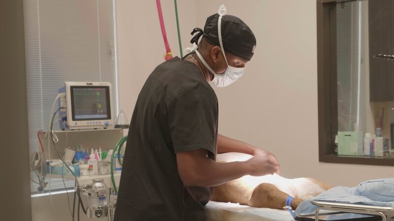 Dr. Blue examines Yuki’s stomach before he begins surgery. – Bild: Discovery Communications, LLC