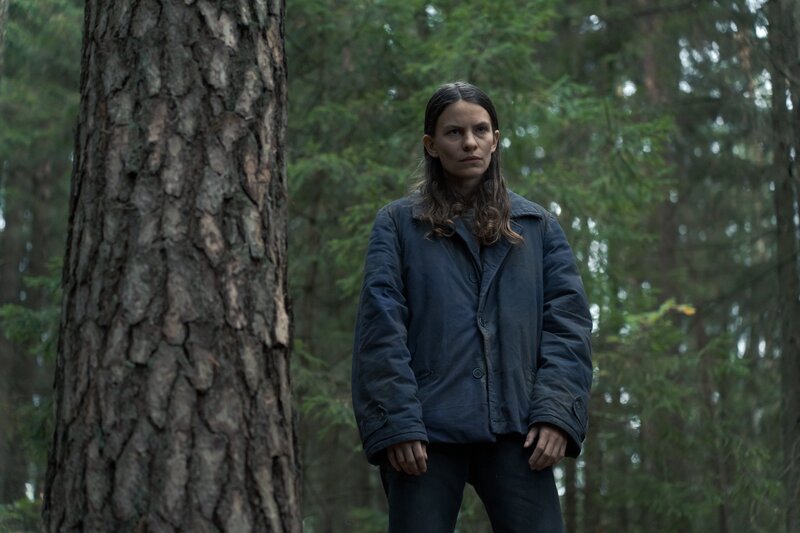 Kat (Eliot Sumner) geht zu Thomas’ Hütte, während er mit Hannah unterwegs ist. – Bild: ZDF und andrej vasilenko