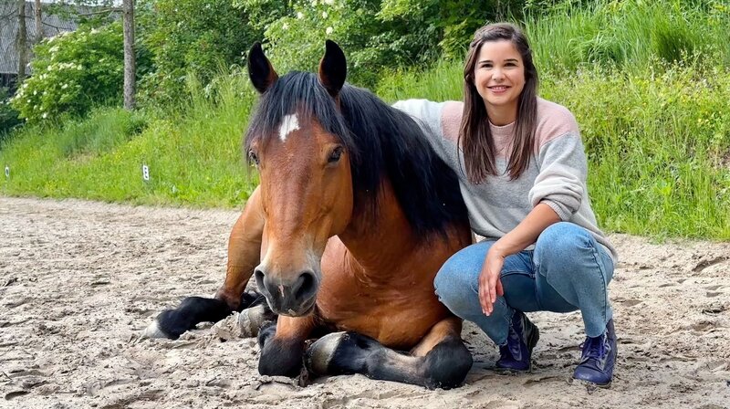 Der amerikanische Mustang Brownie ist schon seit mehreren Jahren in Deutschland. Brownie ist mittlerweile nicht nur ein tolles Reitpferd, sondern er hat auch ein paar Tricks gelernt. Auf Kommando legt er sich hin. – Bild: BR/​Text und Bild Medienproduktion GmbH & Co. KG/​Katharina Brackmann
