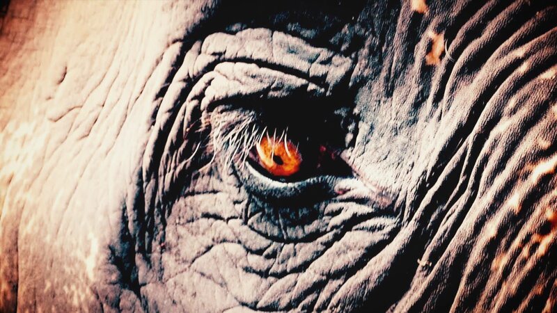 . – Bild: Warner Bros. Discovery