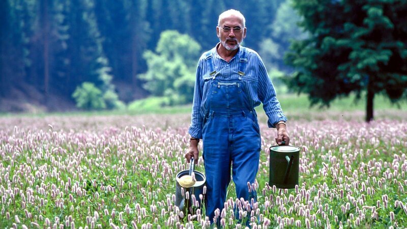 Peter Lustig staunt nicht schlecht als er entdeckt, wie fleißig ein Regenwurm ist und wie wichtig für seinen Garten. – Bild: studio tv