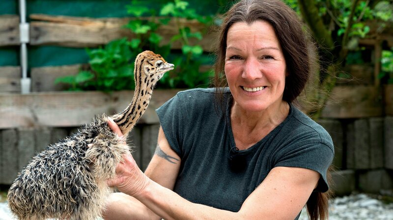 Betriebsleiterin Kerstin Schnabel mit einem Straußen-Küken. – Bild: NDR/​WDR/​Melanie Grande