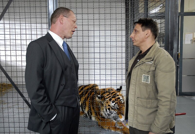 Cheftierpfleger Conny (Thorsten Wolf) weigert sich, von OB Herrenbrück (Frank Sieckel, l.) Anweisungen anzunehmen, die sich gegen das Wohl des kranken Tigers richten. – Bild: Christa Köfer