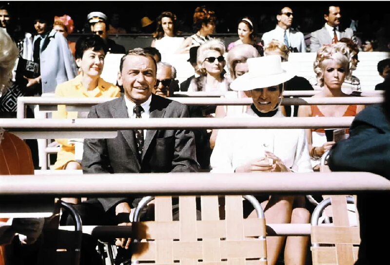 Der Schnüffler – Bild: ORF (FS1/​FS2)