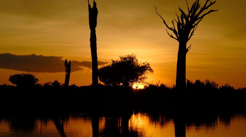 Lange Zeit galt der Amazonas-Regenwald als „Grüne Hölle“ voller unbekannter Gefahren. Heute wissen wir, dass er eine Schatzkammer der Natur ist, die nicht nur enorm wichtig für das Weltklima ist, sondern auch zahllose Heilpflanzen birgt. – Bild: BR/​Light Shadow GmbH/​NDR/​NDR Naturfilm