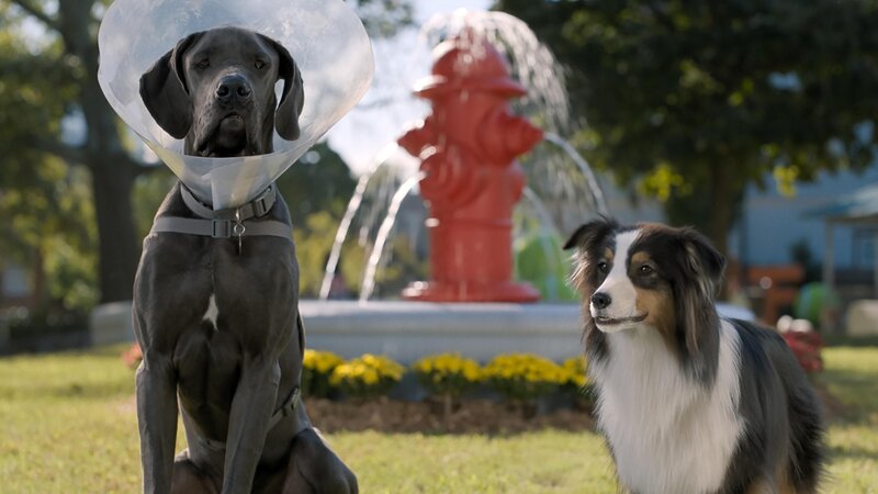 Doggy Style – Bild: Universal Studios