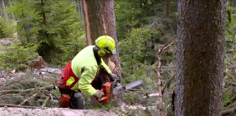 Maschinen kommen hier meistens nicht in Frage, außer der Handmotorsäge. – Bild: ORF/​Pammer Film