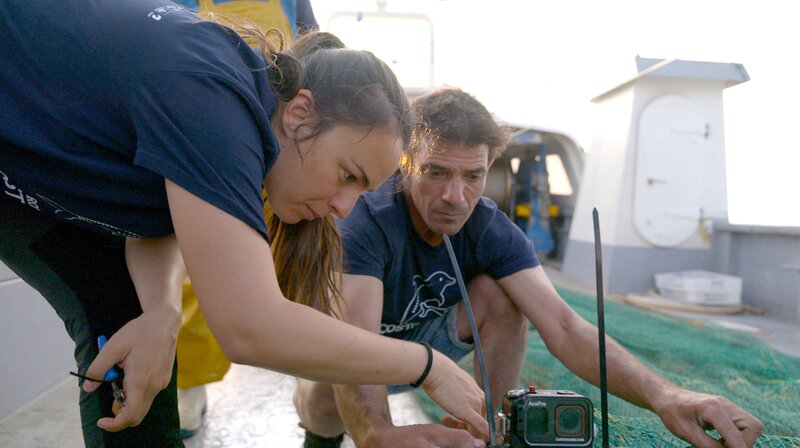 Eine Kamera ans Netz montiert: Natalia Amigó ist regelmäßig zu Gast auf Fischtrawlern, die Biologin erforscht das Verhalten von Delfinen und kommt so besonders dicht an sie ran. – Bild: NDR/​Ralf Biehler