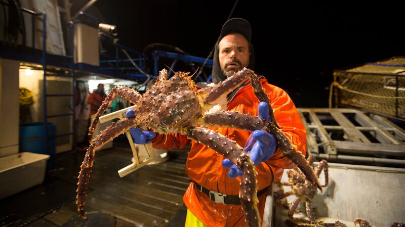 Northwestern. Deckhand Matt Bradley. – Bild: Discovery Communications