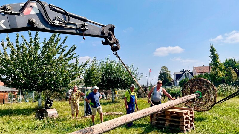 Das Storchennest haben sie im Verein selbst bebaut. Montiert haben sie es auf einen alten Strommast aus Holz. – Bild: MDR/​Tino Wiemeier