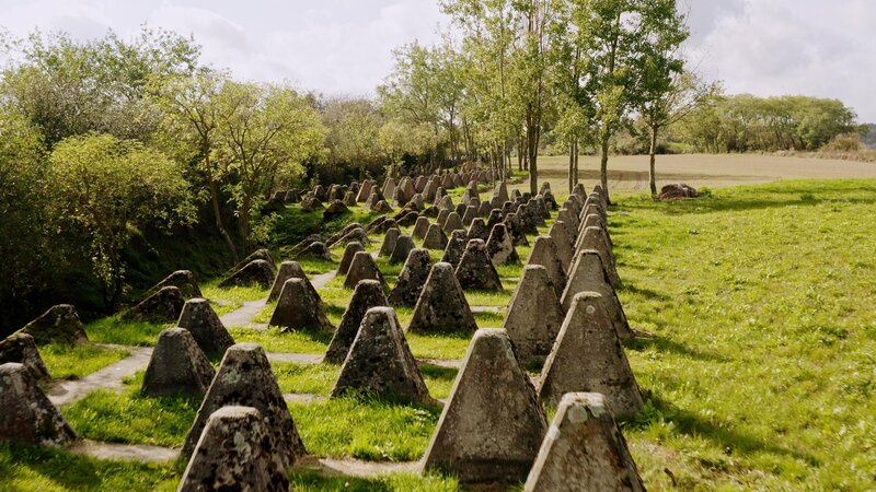 Bild: Go Button Media Lizenzbild frei