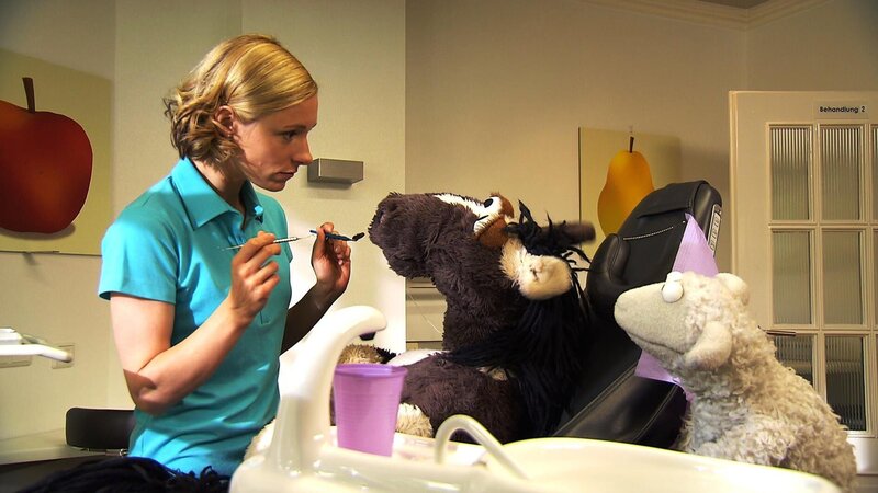 Erst hat Pferd etwas Angst, aber dann hat Zahnärztin Rike eine ganz einfache Erklärung für sein Zahnproblem. – Bild: NDR