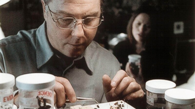 Anhand der Larven erhofft sich Gil (William Petersen) Aufklärung über den genauen Todeszeitpunkt der Ermordeten. – Bild: MG RTL D /​ CBS