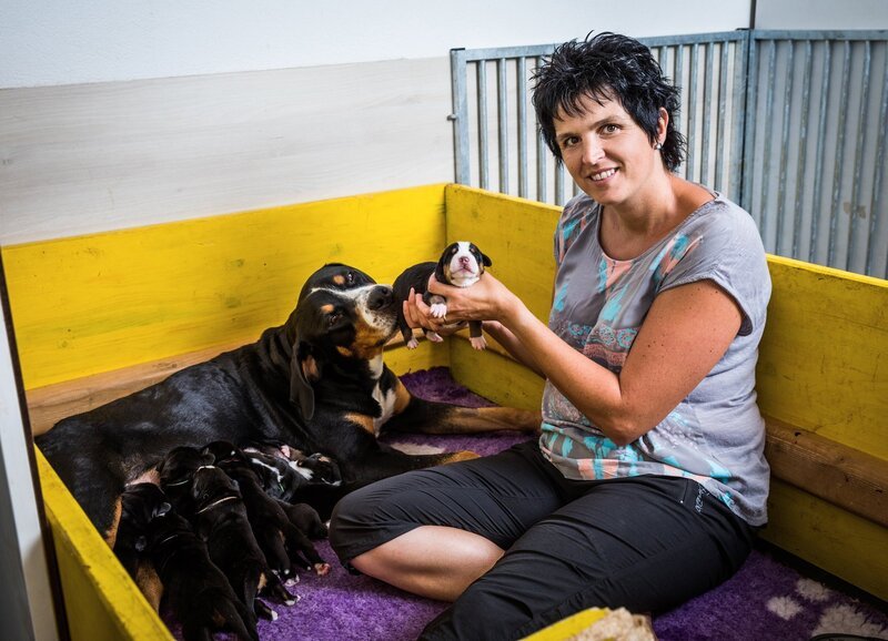 SRF bi de Lüt Landfrauenküche – Karin Hengartner, Olten SO Folge 5 Karin Hengartner – Bild: SRF/​Ueli Christoffel