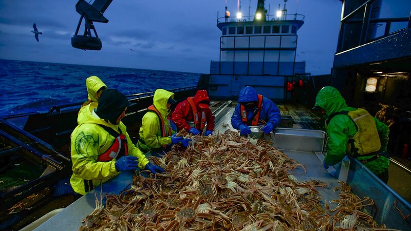 An icy Lady Alaska crashes through a wave. – Bild: Discovery Communications, LLC