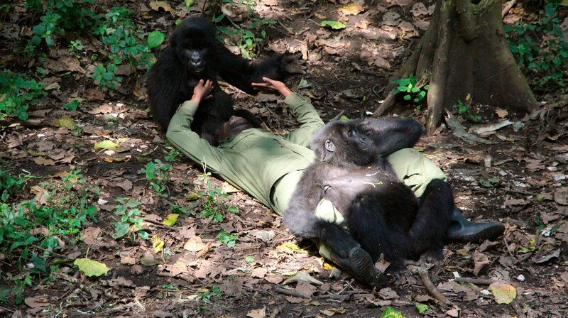 Thali, die seit neun Jahren im Zoo mit Affen arbeitet, hat noch nie frei lebende Affen gesehen. Für sie wird der Kongo ein Abenteuer der besonderen Art. – Bild: SWR/​Christian Neumann