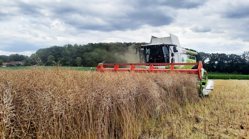 Bild: NDR/​Filmblick