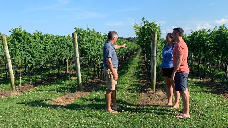 Contributors Kristen Stahl (C) and Christopher Stahl (R) get a tour of Chatham Vineyards and Winery from Jon Wehner (L) as seen on HGTV’s Beachfront Bargain Hunt. – Bild: HGTV /​ Scripps