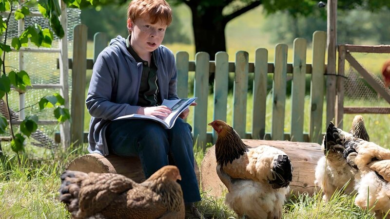 Killerhund – Bild: SWR/​Maria Wiesler