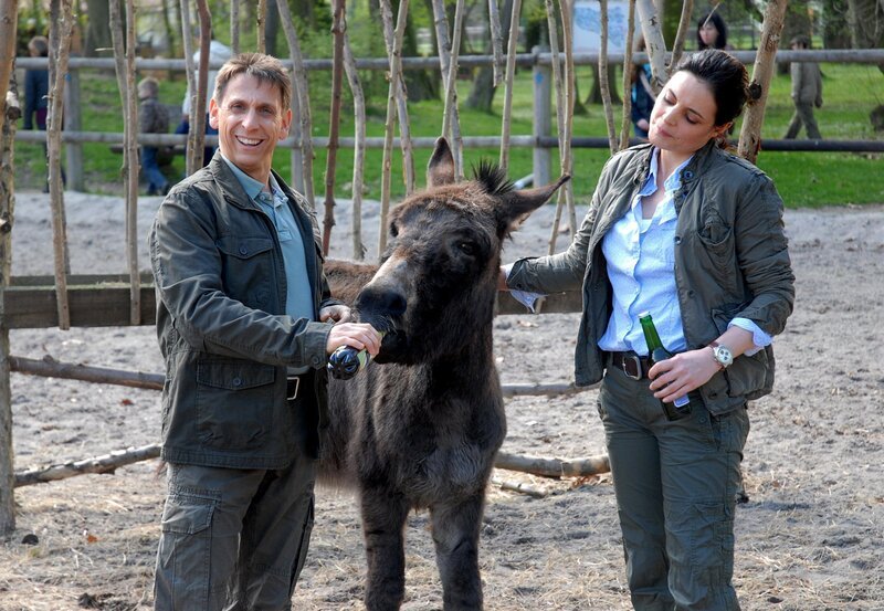 So lustig ist das eigentlich nicht. Tierpfleger Conny (Thorsten Wolf, l.) und Tierärztin Dr. Susanne Mertens (Elisabeth Lanz, r.) machen die Probe aufs Exempel. Und tatsächlich, der Esel trinkt Bier! – Bild: ARD/​Christa Köfer