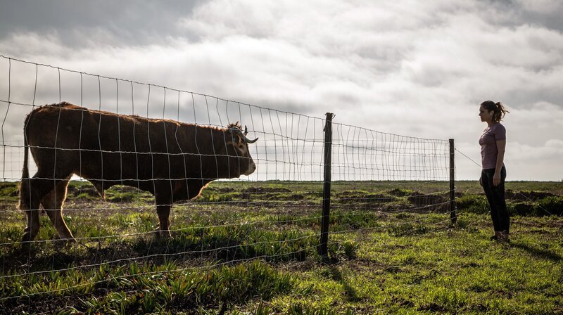 Livia (Ulrike C. Tscharre) entdeckt einen Stier – Bild: ARD Degeto/​Florian Froschmayer