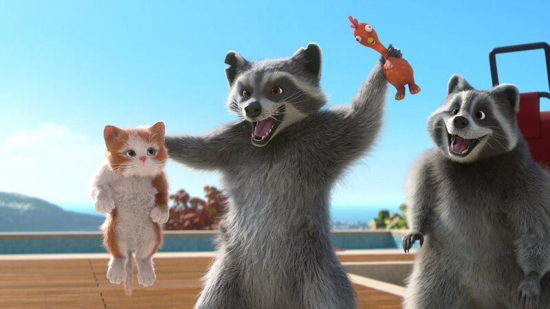 Freddy und Mercury nehmen Fluffy ihr Spielzeug weg. – Bild: SUPER RTL /​ Chickie kehrt zurück