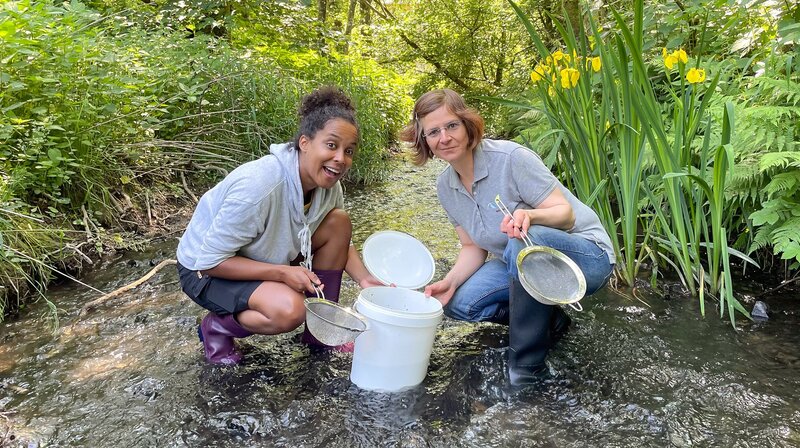 Pia (links) und Tanja Eybe erforschen einen Bach und die darin lebenden Insektenlarven. Dabei kommen einfache Küchensiebe zum Einsatz. – Bild: BR/​Text und Bild Medienproduktion GmbH & Co. KG/​Anna-Louise Bath