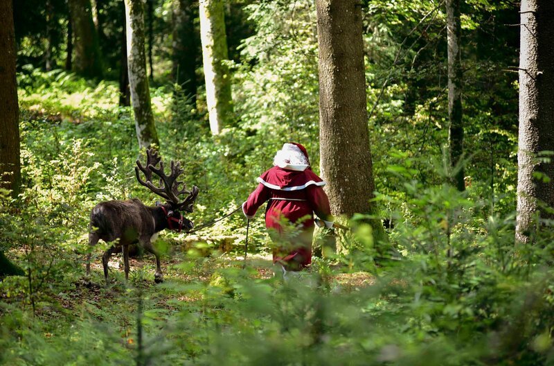 Ein Weihnachtsmann (Thekla Viloo Fliesberg) und ein Rentier mitten im Frühling in Waldau. Was steckt dahinter? – Bild: SWR/​Maria Wiesler