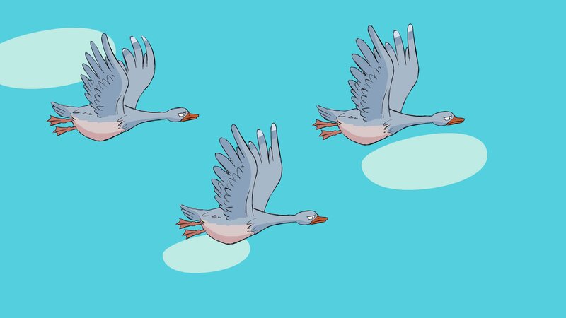 Eine Schar verzauberter wilder Schwäne zieht über den Himmel. – Bild: KiKA/​Animaccord LTD