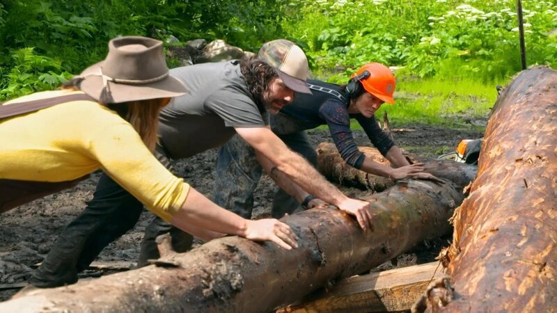 Misty (l.) hilft, den Baumstamm zu bewegen. – Bild: DSPL