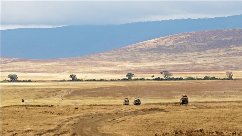 Elefantenherde in Ngorongoro – Bild: Christian Schidlowski