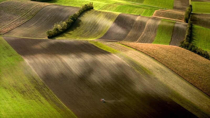 Weinviertel. – Bild: ORF/Riha-Film Weinviertel. – Bild: ORF/Riha-Film