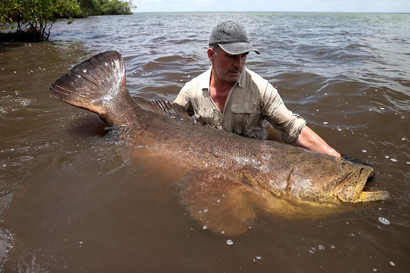 Bild: Untamed Productions Lizenzbild frei