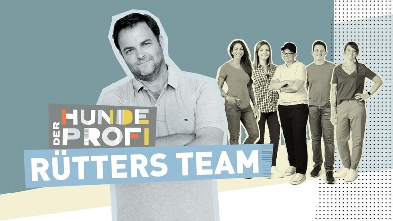 Das Logo zu „Der Hundeprofi – Rütters Team“. – Bild: RTL Das Logo zu „Der Hundeprofi – Rütters Team“. – Bild: RTL