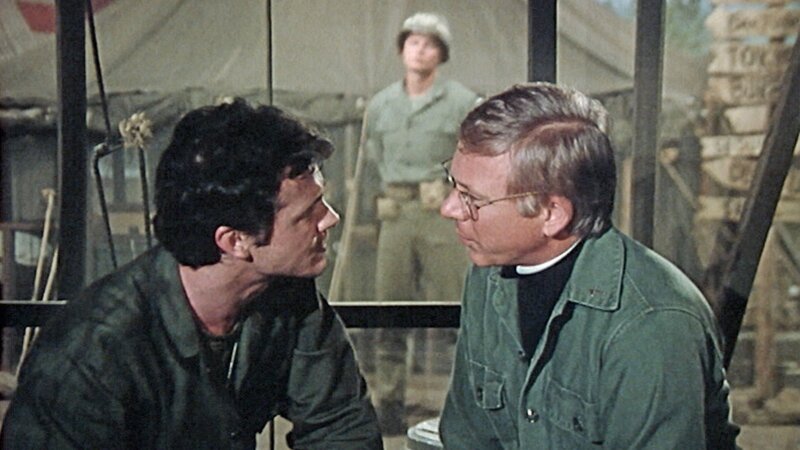 Hammerhai – Bild: RTL