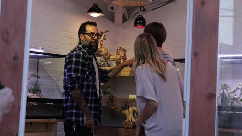 Host Antonio Ballatore points to the bearded dragon in the enclosure with Darlene and Owen Vogel. – Bild: Discovery Communications, LLC