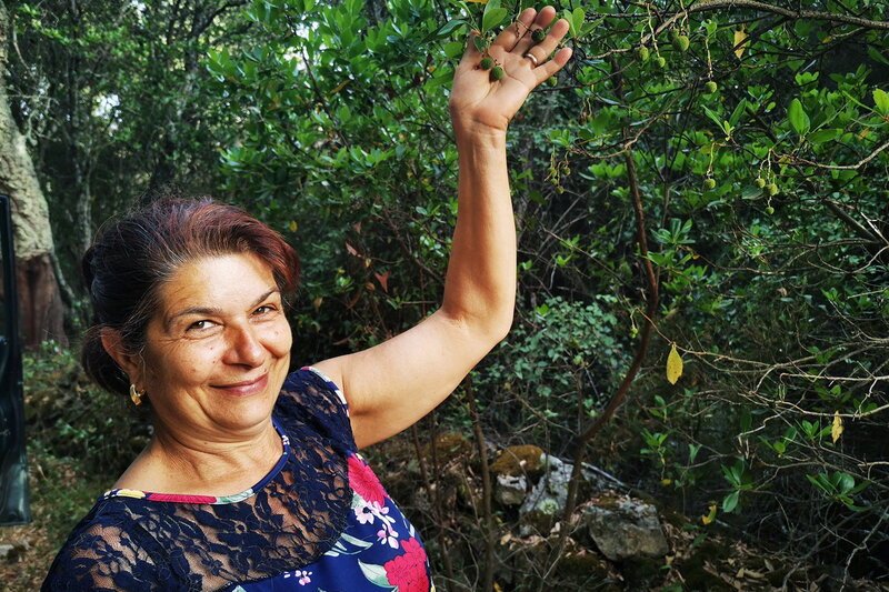 Zu Tisch Gallura – Sardinien Franca Corda mit einem ihrer Arbutus-Bäume. – Bild: SRF1/​Berlin Producers Media/​Bernd Potschka