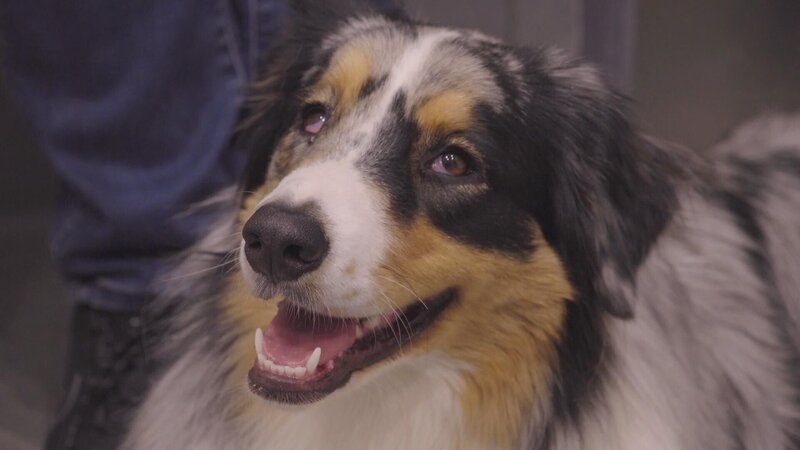 Bild: 2023 WTFN Entertainment Pty Ltd. Lizenzbild frei