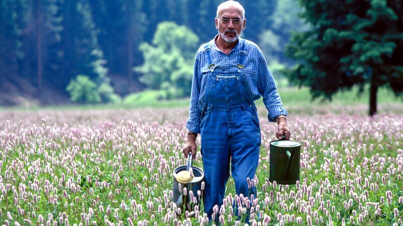Peter (Peter Lustig) will sich wachsendes Gras aufs Bauwagendach packen – so bleibt es im Sommer angenehm kühl und im Winter kuschelig warm. „Aber wie soll das gehen?“, grübelt der Tüftler. – Bild: ZDF und studio tv