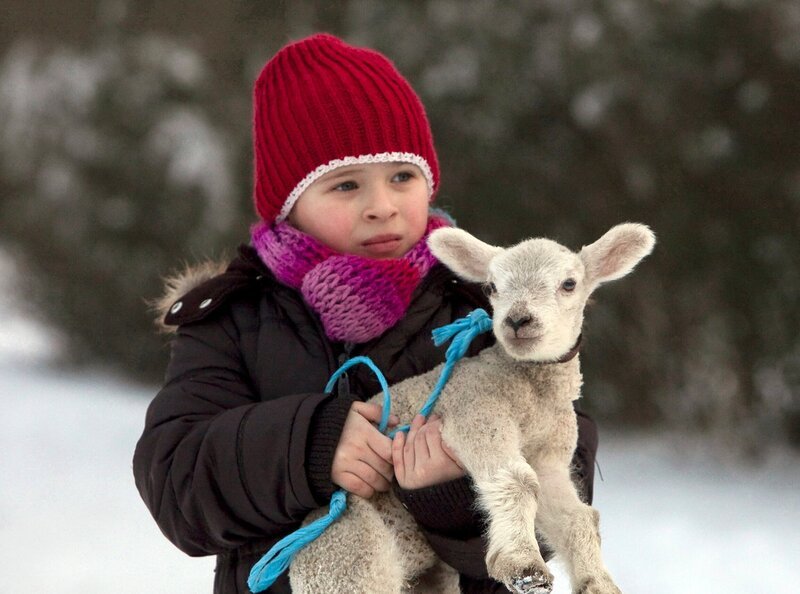 Lisa Schroth (Ella Zirzow) möchte das niedliche Osterlamm vor dem Kochtopf bewahren und schmiedet einen Plan. Kurz darauf ist nicht nur das Lamm sondern auch Lisa verschwunden. – Bild: MDR/​MDR/​Krajewsky