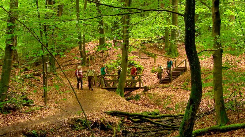 Rund 300.000 Kilometer Wanderwege ziehen sich durch unser Land. Aber welche Strecke lohnt sich besonders? – Bild: NDR