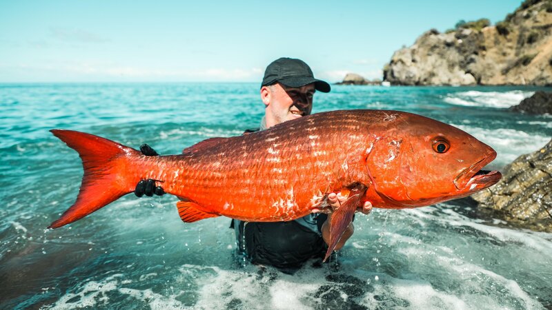 Bild: Licensed by Banijay Rights Limited Lizenzbild frei