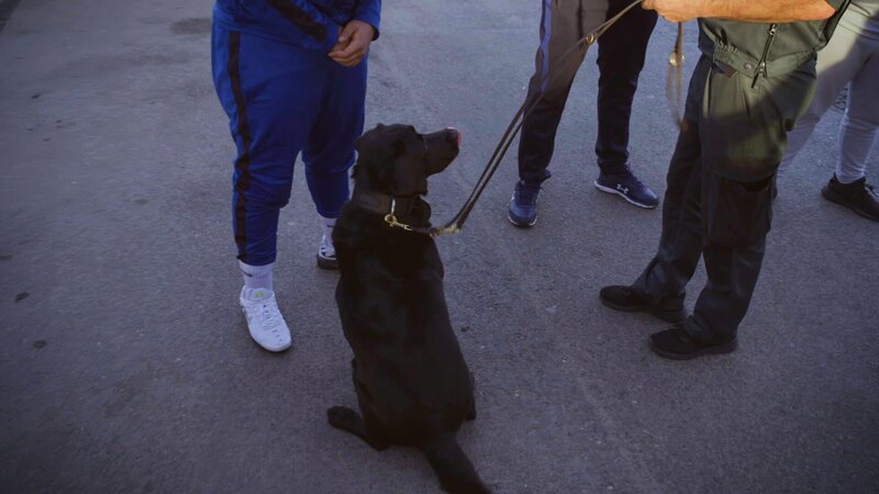 Spürhund in Barcelona – Bild: Warner Bros. Discovery