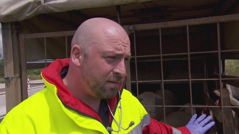 Bild: Seven.One Entertainment Group GmbH