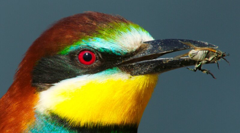 Ungezähmt - Im Fluss des Lebens – Bild: MDR/​Capricornum Film/​Uwe Müller