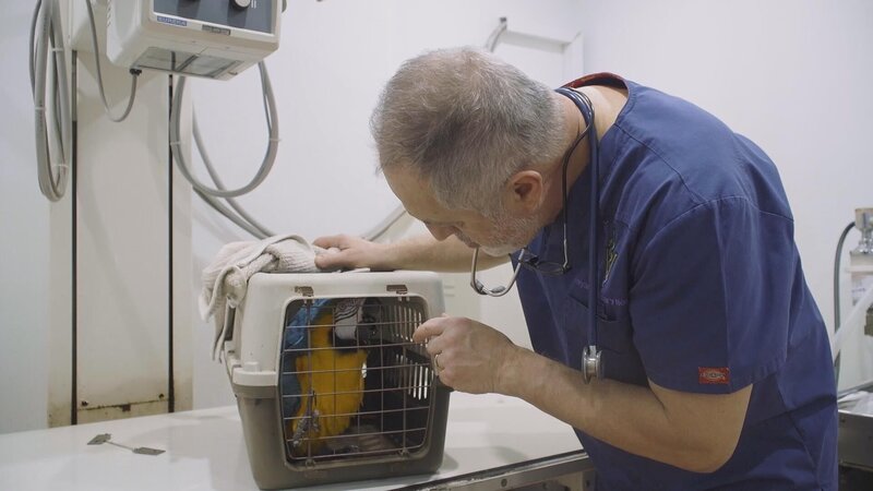 Bild: 2023 WTFN Entertainment Pty Ltd. Lizenzbild frei