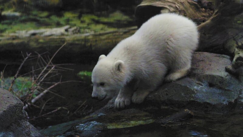 Bild: @Red Bull Media House/​ServusTV