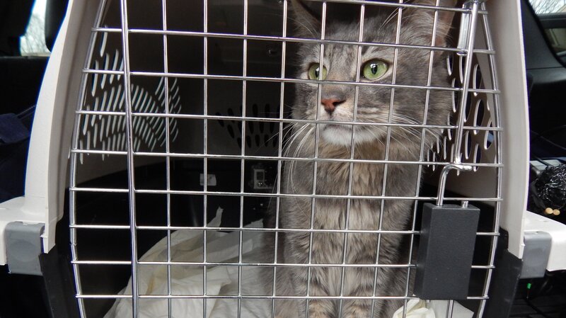 Bild: Discovery Communications