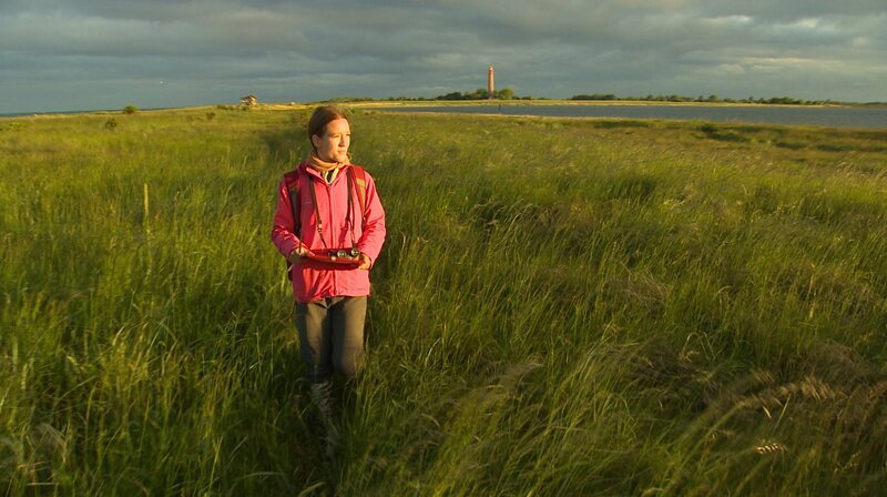 Täglich bei Sonnenaufgang streift Vogelwartin Ronja Sommerfeld durch das Naturschutzgebiet Krummsteert/​Sulsdorfer Wiek auf Fehmarn und dokumentiert die artenreiche Vogelwelt. Nur sie darf dieses Gebiet betreten, für Touristen ist es gesperrt. – Bild: NDR/​Julia Lindenau